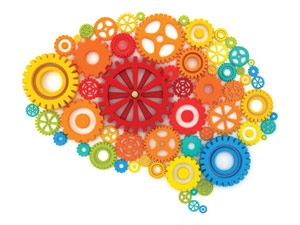 3-1-Brain-Food