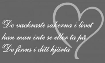 Vishetens pärlor