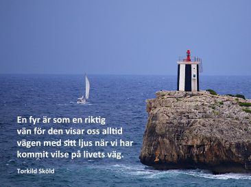 Fyren - människans bästa vän.