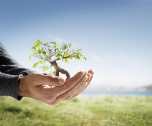 How-to-be-greener